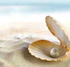 Learn About Pearls Learn About Pearls