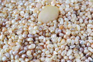 Freshwater Pearls Freshwater Pearls