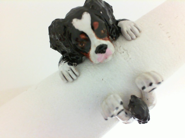 Dog Fever: Sterling Silver And Enamel Ring Size 7
Name: King Charles Spaniel Hug