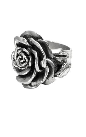 King Baby: Sterling Silver Rose  Ring Size 8